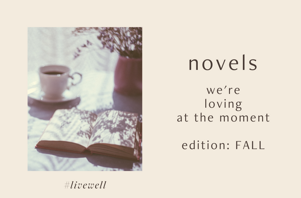 Novels we’re loving at the moment: FALL Edition