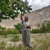 NO. 40 COLD PRESSED WILD APRICOT OIL